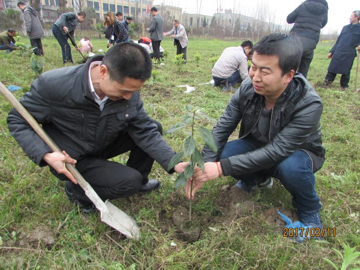 不朽情缘_首页官网入口